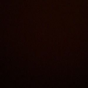 Meet your Posher, Shayla